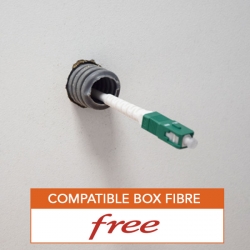 Câble Fibre Optique Freebox Free - FOLAN - 5m - Câbles réseau - Achat &  prix